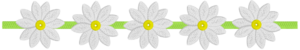 daisy image 3